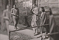 Flannery O'Connor, 1947  (Photo credit: Cmacauley)