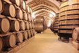 Marsala wine cellar