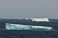 Icebergs calving from Arctic glaciers to the far north make their way down the coast of Labrador. This will be a great time to see them!  (photo: Dave Milsom)