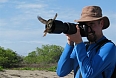 Galapagos Flycatchers are fearless and investigative! (photo: Chris Earley)