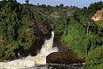 The falls at Murchison Falls National Park