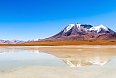 Altiplano, seen on our optional extension titled Bolivian Highlands: From La Paz to the Uyuni Salt Flats