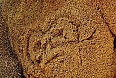 Petroglyphs at Lake Enriquillo National Park (Photo by: Pete Read)