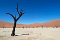 Deadvlei (Photo by: Justin Peter)