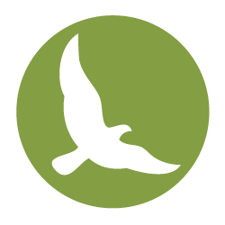 Quest Nature Tours