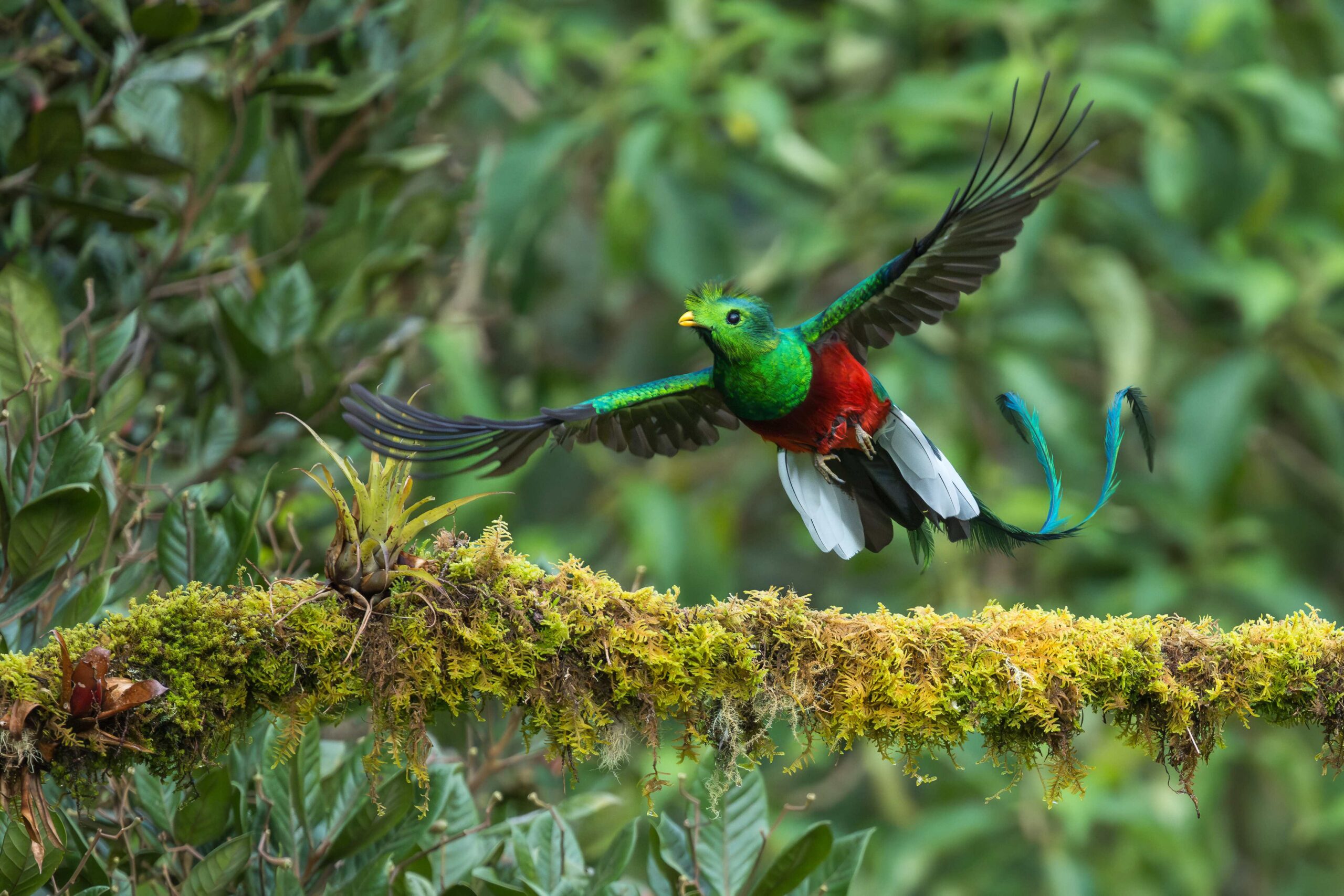 Private Journey Costa Rica