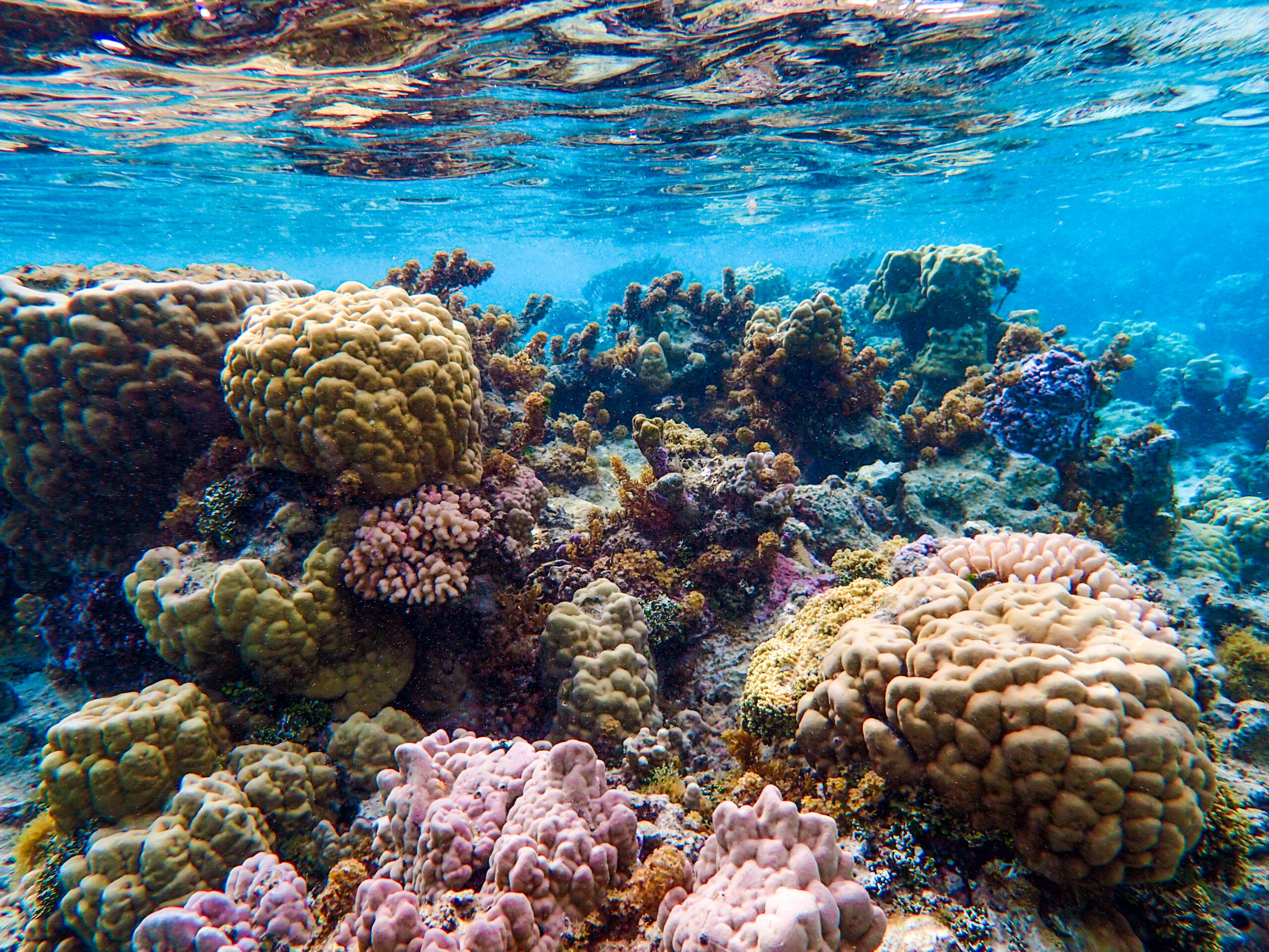 French Polynesia