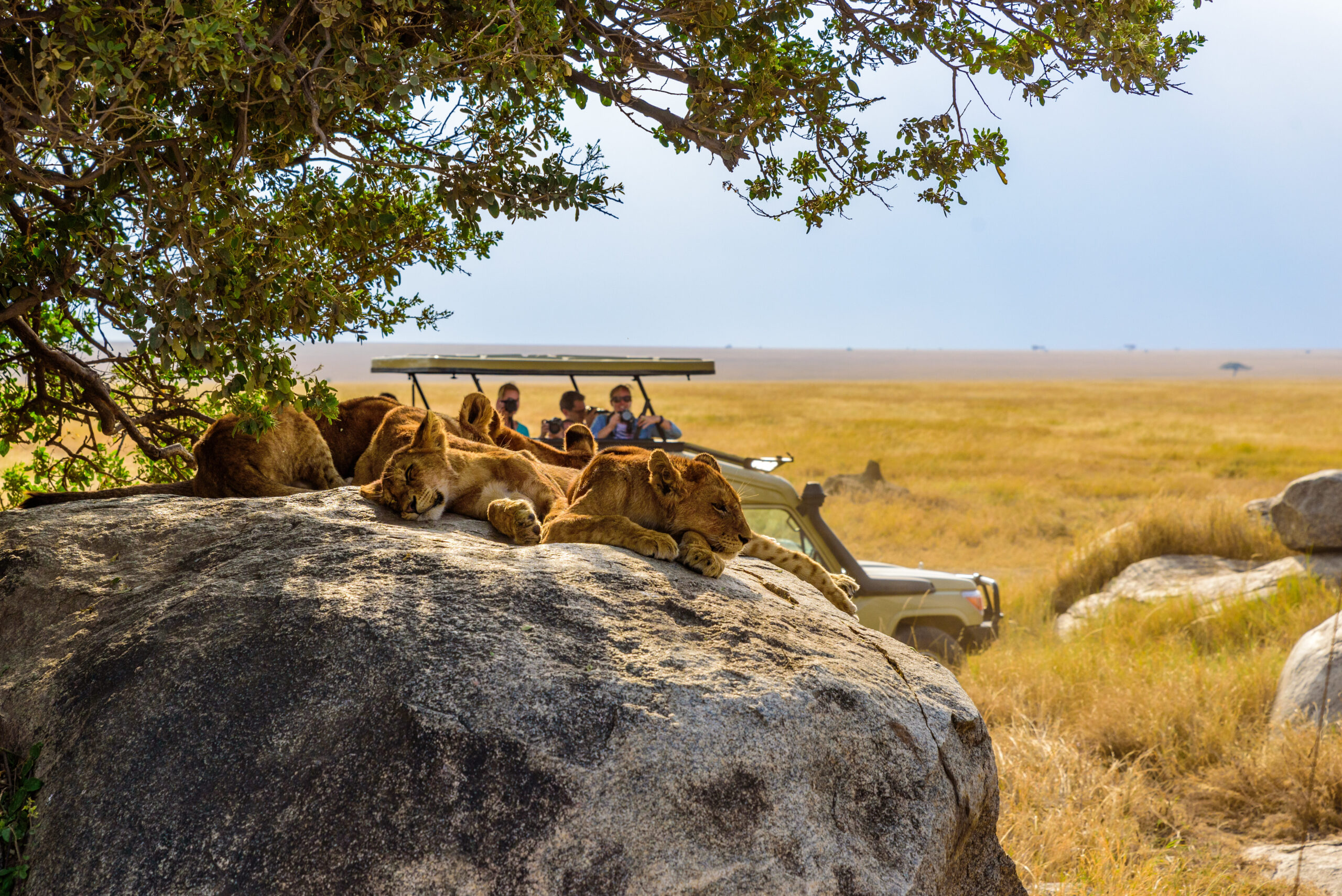 Private Journeys to Tanzania