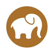 Wildlife & Safari